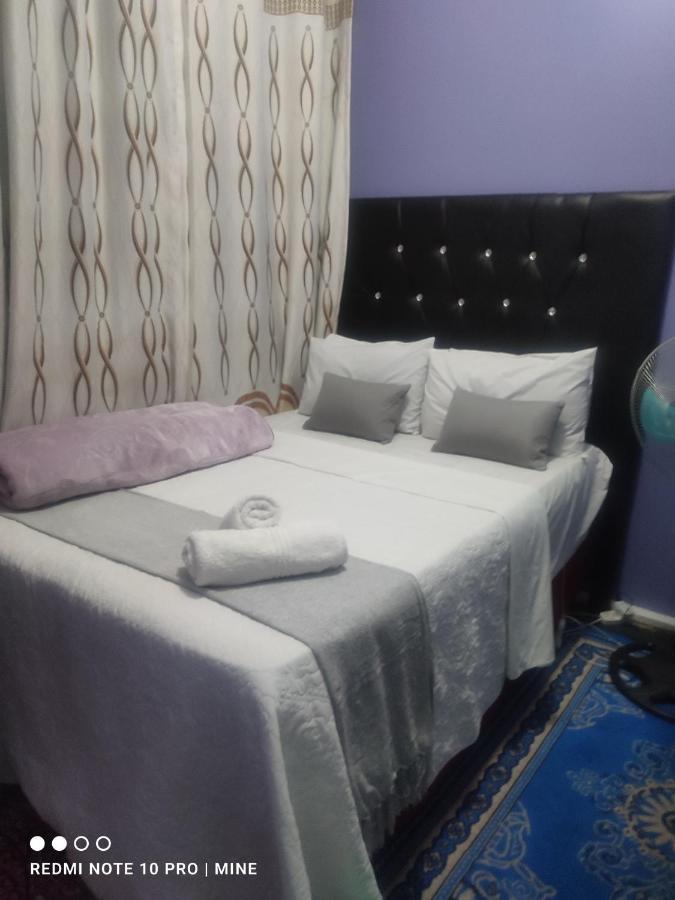 The Croc Guest House 斯普林斯 外观 照片
